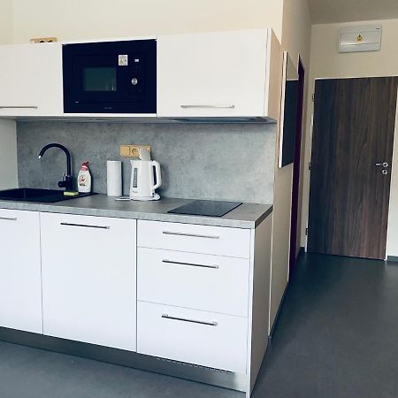 Benesovka Lägenhet Vacov Exteriör bild